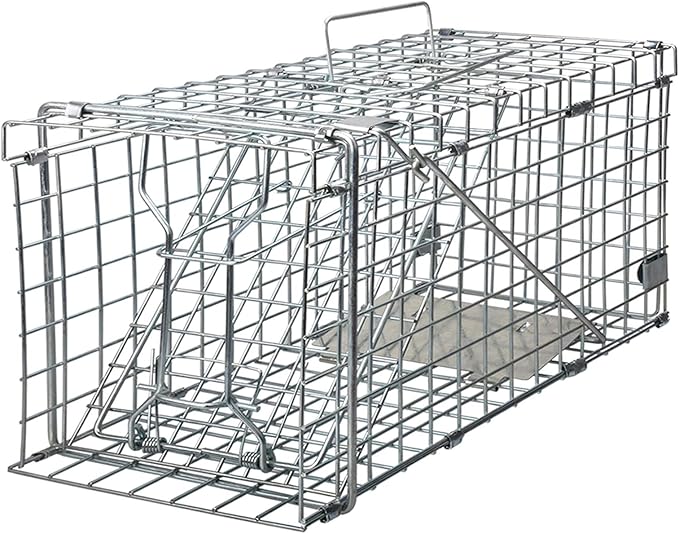 Gingbau Foldable Squirrel Trap Heavy Duty Humane Live Animal Cage Trap - 17.3” x 7.4” x 8.2”
