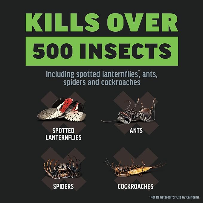 Amdro 100550457 Quick Kill Outdoor Insect Killer, 32 oz