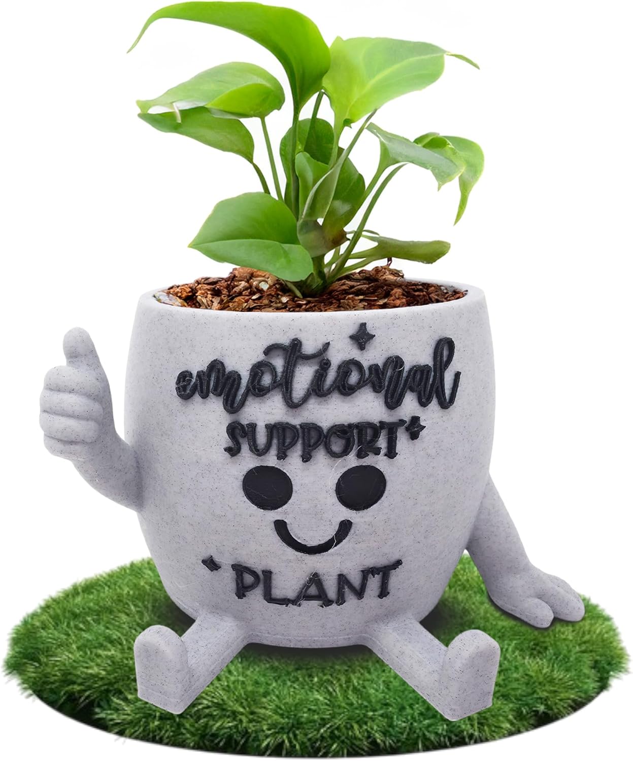 Funny Face Indoor Head Planter Pot, 3D Printed, Unique Small Succulent Flower Pot, Cute Cactus Planter, Indoor Home Decor, Office Desk Plant Pot, Novelty Gardening Gift Set