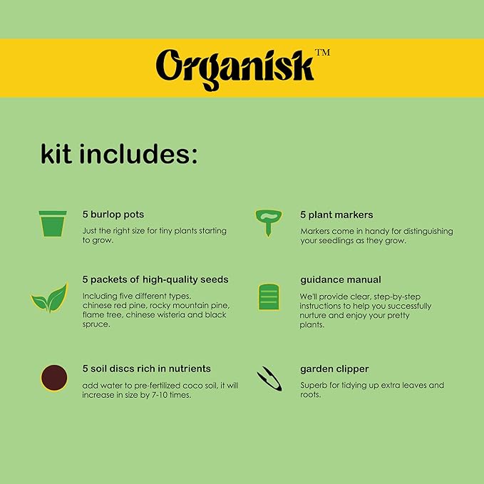 Bonsai Starter Kit - 5 Unique Tree Types, Special DIY Garden Hobby Kits - Great for Plant Lovers, for Kids, Men, Women, and Bonsai Enthusiasts