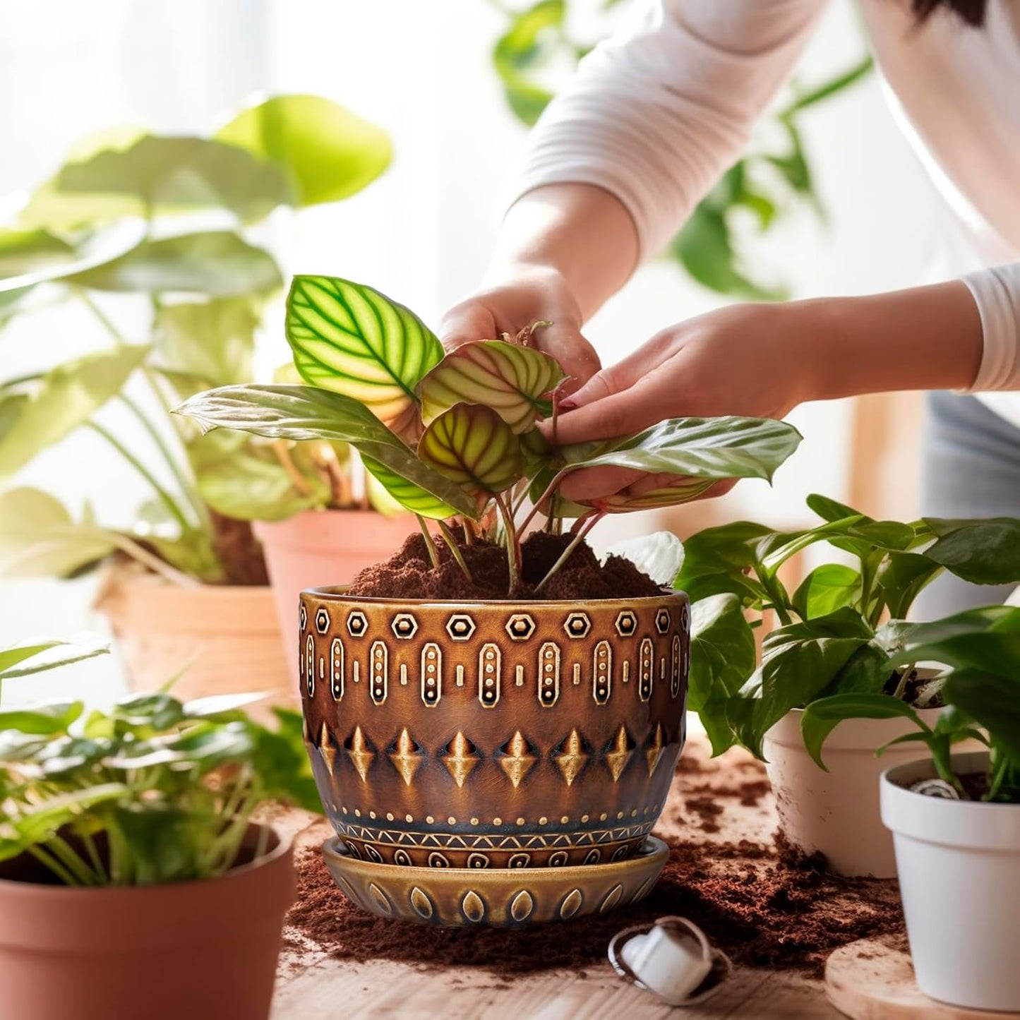 G EPGardening 5.5 Inch Plant Pot - Ceramic Planter for Indoor Outdoor Plants, Boho Round Indoor Flower Pot with Drainage Hole and Saucer, Housewarming Gifts, Garden Home Room Decor, Brown