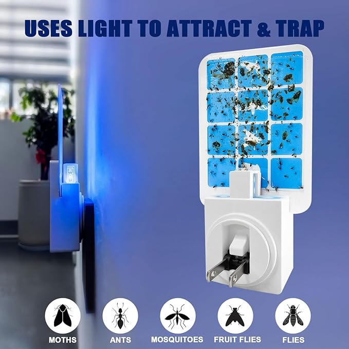Plug in Indoor Fly Trap for Gnat Moth Houseflies Fruit Flies, Blue Light Bug Light Trap Compatible with Safer Home Indoor Fly Trap Refill, Mosquito Flying Insect Trap, 6 Device+8 Refill