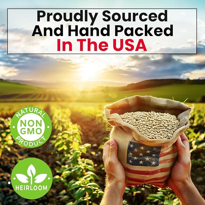 NatureZ Edge Premium Cat Grass Seeds for Indoor Cats, Non GMO - 1 lb Oat & Barley Grass for Indoor Cats, Cat Plant, Kitty Lawn, Pet Grass, Hierba para Gatos, Made in USA