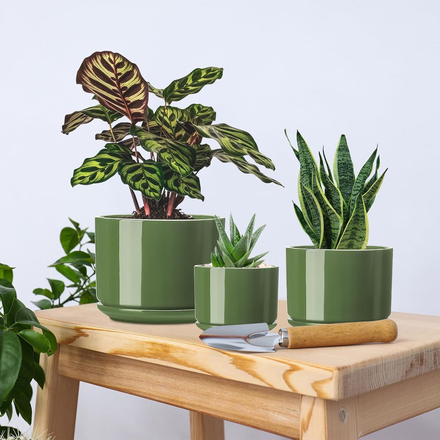 EFISPSS Ceramic Plant Pots, 4+5+6 Inch Pots for Indoor Plants, Planter Pot with Drainage Hole,Flower Pots for Succulent Cactus,Set of 3 - Patina