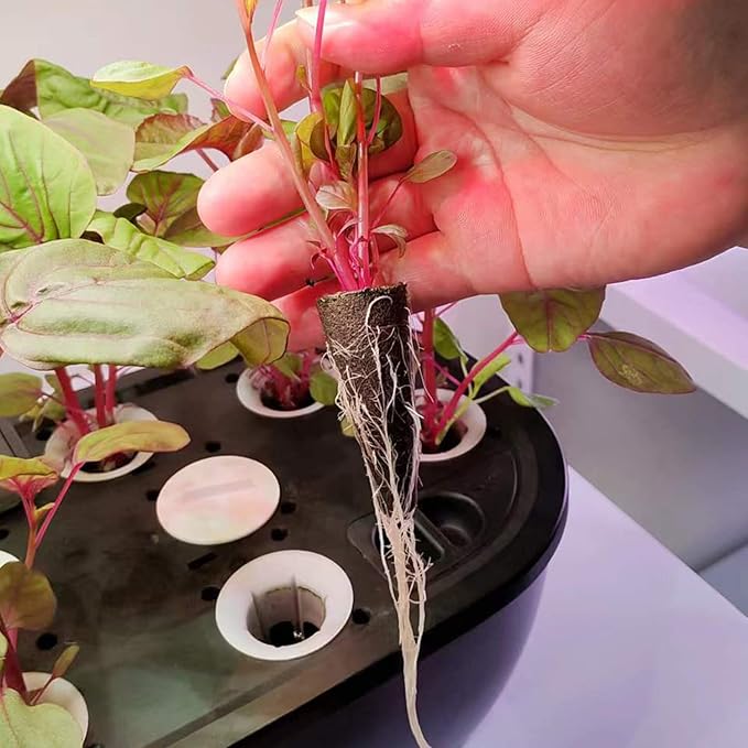 Grow Sponges, Starter Pods Compatible with Aero Garden,Refill Pods for Hydroponic Growing System (30pcs Sponges)