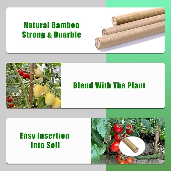 Plant Bamboo Post,5Feet,Bamboo Garden Stakes,50PcsBamboo Stakes,for Tomato,Beans,Vegetable and Flowers, Potted Plants,Indoor and Outdoor Climbing Plants