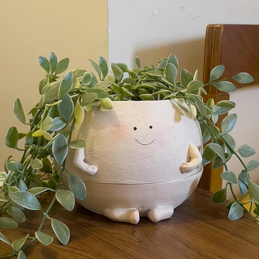 Self Watering Plant Pot 4 Inch Cute Smile Face Planter Pot for Indoor Outdoor Plants with Drainage Hole Unique Flower Pots for Succulent/Herbs/Violets