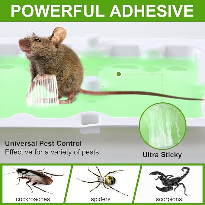 Qualirey 24 Pack Mouse Glue Trap, Super Sticky Traps Mouse Size for Mice and Rats, Pre-Scented, Non Toxic Mice Glue Boards, Rodent Sticky Pads Indoor for Home, Easy to Use, Pet Safe Pest Control