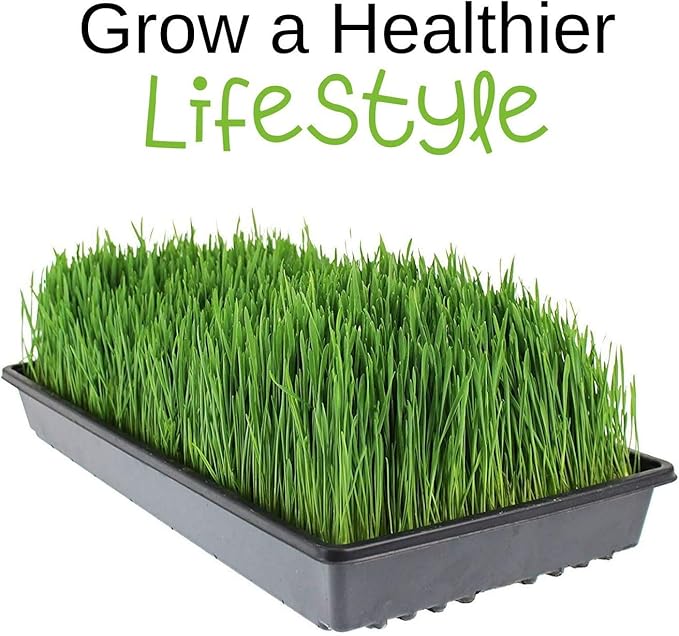 Micro-Mats Hydroponic Grow Pads - for Organic Production - 10 Pack - Plant & Seed Germination: Wheatgrass, Microgreens, More - for 20" x 10" Greenhouse Trays