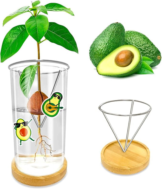 Avocado Seed Starter Vase - Avocado Tree Growing Kit with Base and Sticker, Glass Avocado Pit Sprouting Plant Pot Gift for Women, Gardening Lovers Home Office Table Decoration, Indoor No Seed
