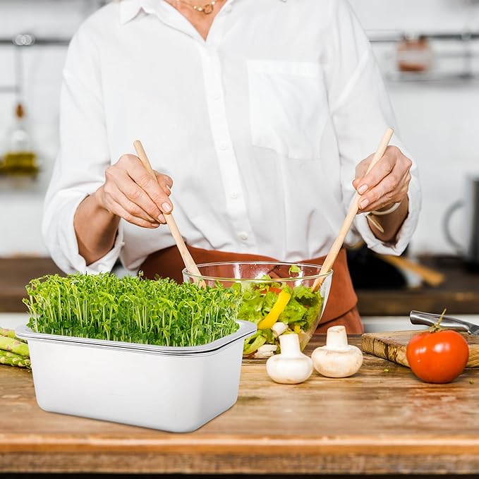 Vesici 4 Pack Sprouting Tray Kit, Stainless Steel Soil Free Cultivation Germination Tray, Wheatgrass Growing Container, Seed Sprouting Container Kit for Indoors Plant Seed Beans Broccoli Arugula