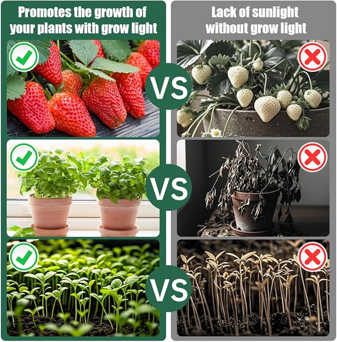 Tabletop 5-Tier Seed Starting Kit Germination Tray - Plant Stand with Grow Lights Full Spectrum Sunlike Plant Light for Indoor Plants, Greenhouse, Succulents, Seedlings Gardening