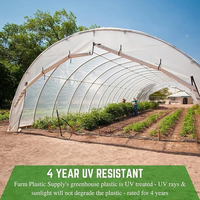 Farm Plastic Supply 4 Year Clear 6 mil Greenhouse Plastic Sheeting - Clear Polyethylene Sheeting, Transparent Film for Greenhouse (32' x 10')