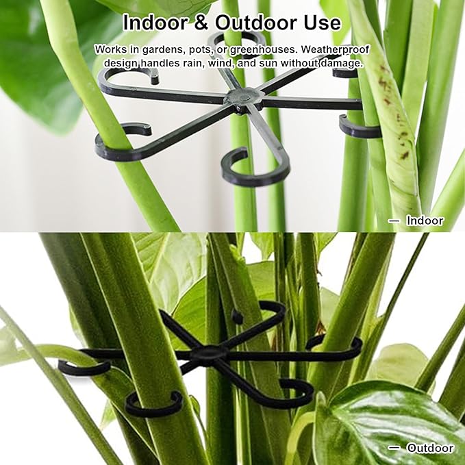 12pcs Climbing Houseplant Stem Supports,Plant stem Support Indoor Outdoor Use,Stem Hook Growth Accessories for Plant Garden, Promotes Upright Growth and Airflow(Black)
