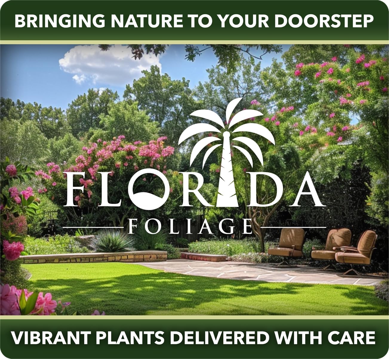 Pineapple Guava Plant - 1 Live 4 Inch Plants - Feijoa Sellowiana - Edible Flowers and Fruit