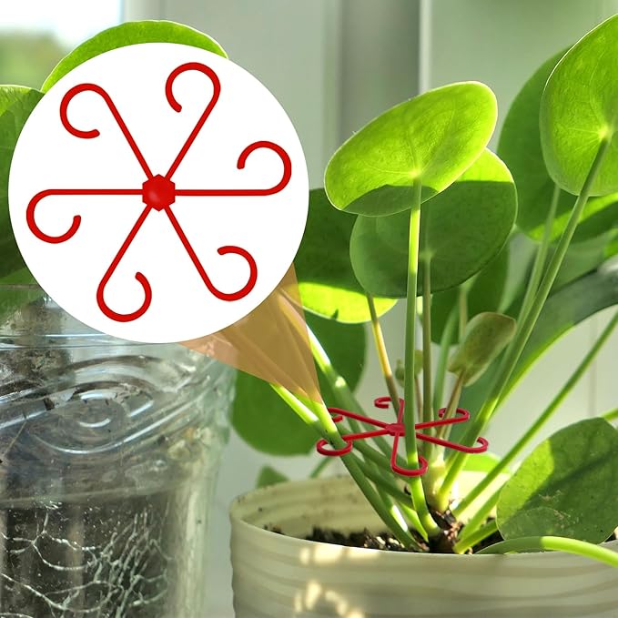 8PCS Plant Stem Support, 4 Sizes Climbing Houseplant Stem Holders, Plastic Reusable Flower Trellis Stem Hook Plant Care Growth Accessories for Flower Plants Indoor Outdoor- Green, Red