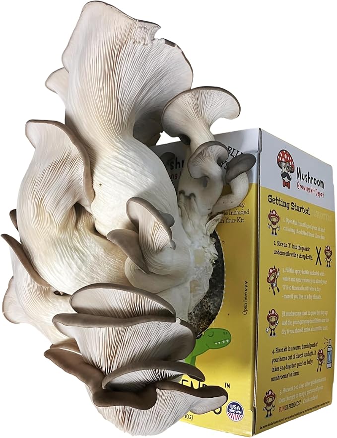 1 Humidity Tent Bundle + 1 FUNGI FRIENDS Blue Oyster Mushroom Grow Kit (5 lbs) | Mushasaurus | Beginner-Friendly & Easy to Use | Handmade in USA