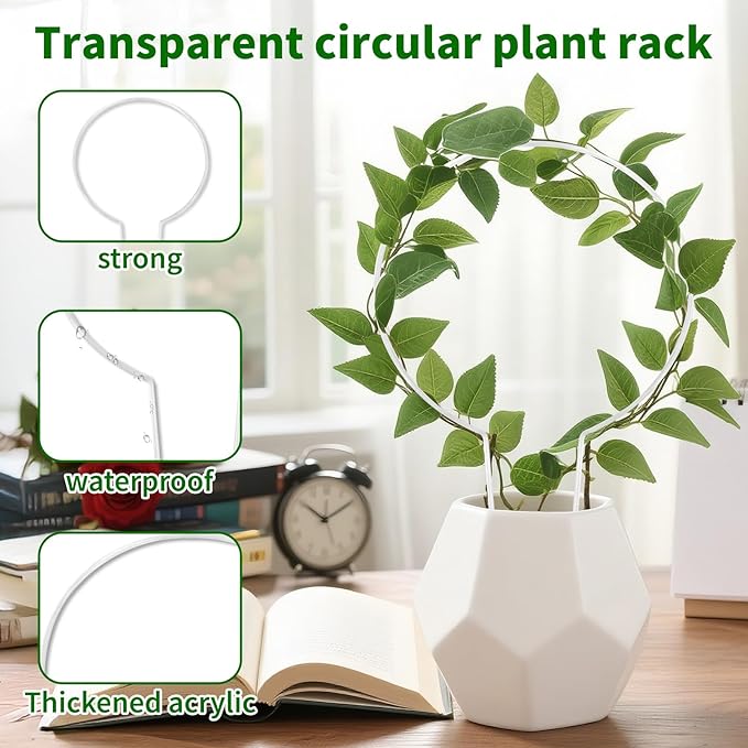 2-Pack Round Acrylic Plant Trellis for Potted Plants Indoor Outdoor - Small Climbing Plant Trellis Support for Hoya, Pothos, Vine, Ivy, Monstera, Flower, Philodendrons, Dischidia