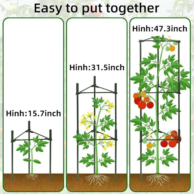 3 Package up to 48in Tomato cage Garden Grid Plant Support Posts with Adjustable Tomato cage Vegetable Grid (3pack)