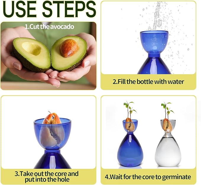 Avocado Vase Avocado Seed Starter Vases Trees Live Plants Growing kit Glass 2pc