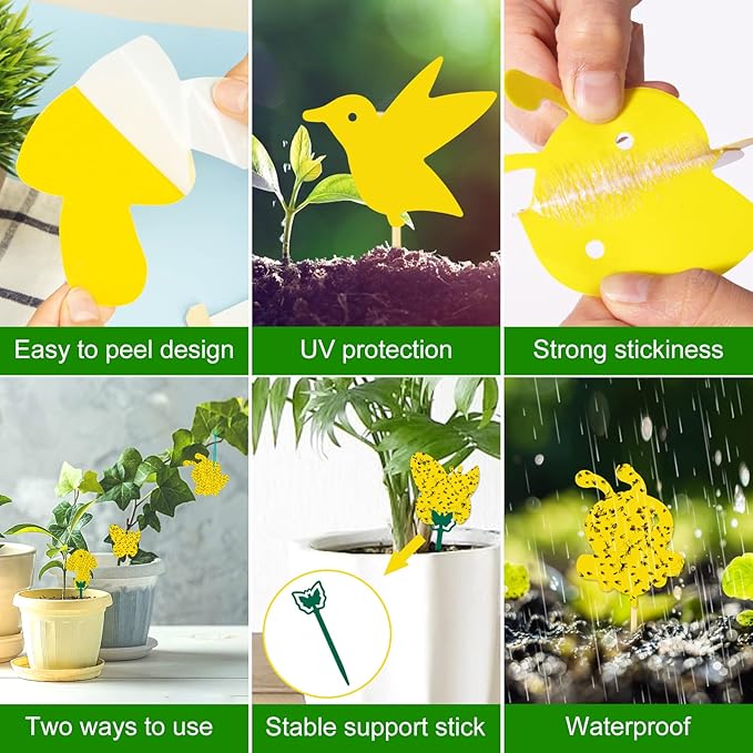 60 Pack Yellow Sticky Traps Fungus Gnat Sticky Traps, Gnat Traps for House Indoor Gnat Killer Indoor, House Plant Gnats Bugs Sticky Killer Fruit Fly Traps for Indoor