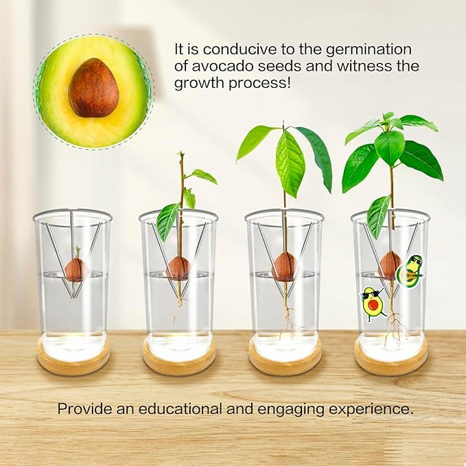 Avocado Seed Starter Vase - Avocado Tree Growing Kit with Base and Sticker, Glass Avocado Pit Sprouting Plant Pot Gift for Women, Gardening Lovers Home Office Table Decoration, Indoor No Seed