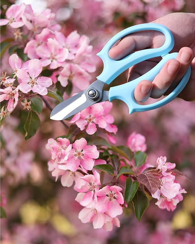 Flower Scissors - Stainless Steel Floral Scissors, Florist Cutters for Stems, Garden Plant Shears for Fresh Flowers (Blue, Pink) (4 PCS)