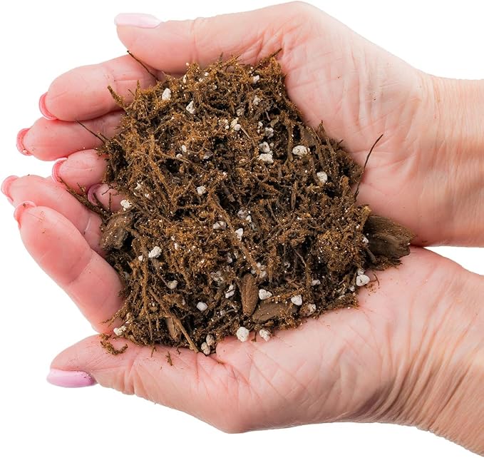 Premium Gardenera House Plant Potting Mix | Fern + New Zealand Bark + Perlite | Great for Pothos, Spider Plants, Montsera, Philodendron, English Ivy - 3 Quart Bag