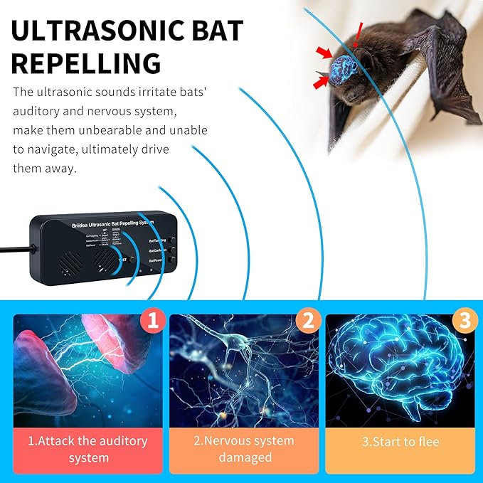Ultrasonic Bat Removal, Briidea Bat Away System, Demands Bats to Flee, Human and Pet Safe