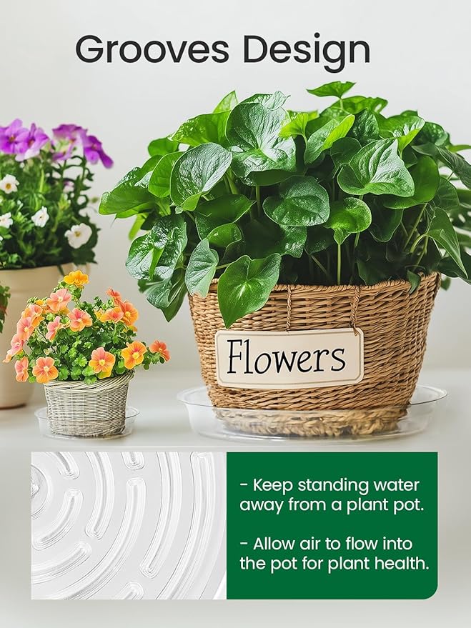 GROWNEER 24 Pack of 6, 8, 10, 12 Inches Clear Plant Saucers Flower Pot Trays, with 15 Pcs Plant Labels, Plastic Plant Drip Trays for Indoor Outdoor Plants Garden, Assorted 4 Sizes, 6pcs of Each Size