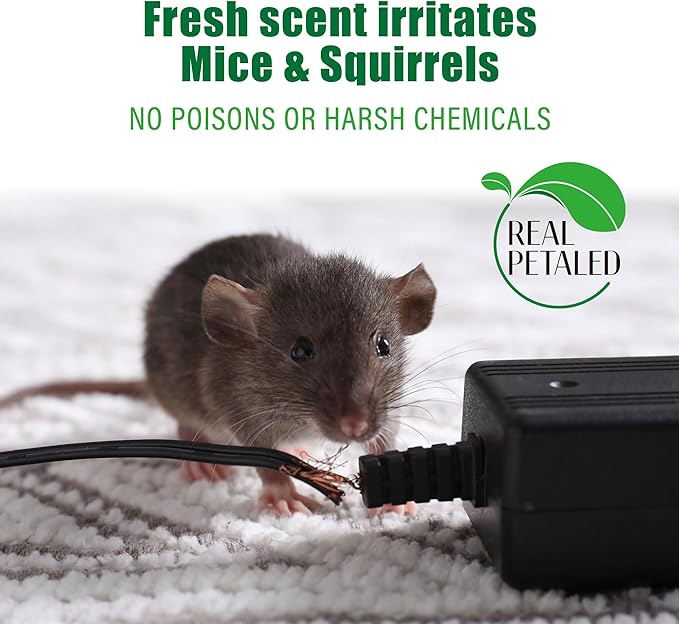 Peppermint Oil Rodent Repellent: Natural Repel Deterrent Balls for Mice and Rats - Control Mouse Away with Repellent Bags and Pouches for Car House and Indoor 8 Pack (Package of 1)