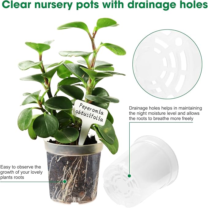 60 Pcs 4 Inch Clear Nursery Pots for Plants, Transparent Plastic Plant Pots with Drain Holes, Seed Starter Pots with 20 Plant Labels for Flowers Vegetable Seedlings