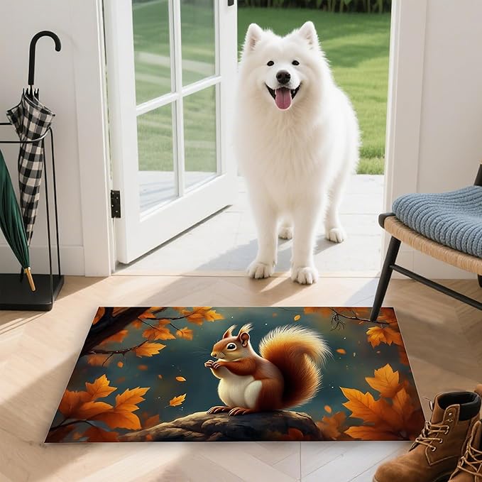 Door Mat,Cute Squirrel Welcome Mat Indoor,Fall Maple Leaf Non-Slip Outdoor Entry Mat for Home Entryway, Low Profile Floor Rugs for Entry Patio, Porch, Hallways 30 x 17 Inch