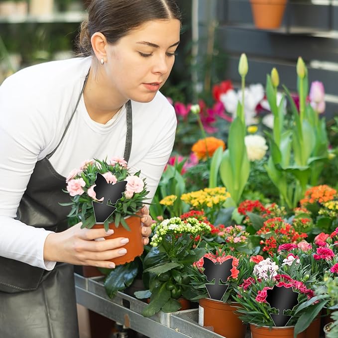 Fruit Fly Traps, 60 Pack Black Sticky Traps, Fungus Gnat Traps, Plant Fly Stickers for Indoor and Outdoor Use Protect The Plant