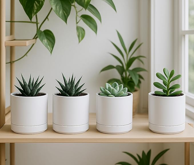 D'vine Dev Set of 4 Small Ceramic Plant Pots, 4.7 Inch Succulent Planter Pot for Plants with Drainage Hole and Saucer, White, 94-X-B-1