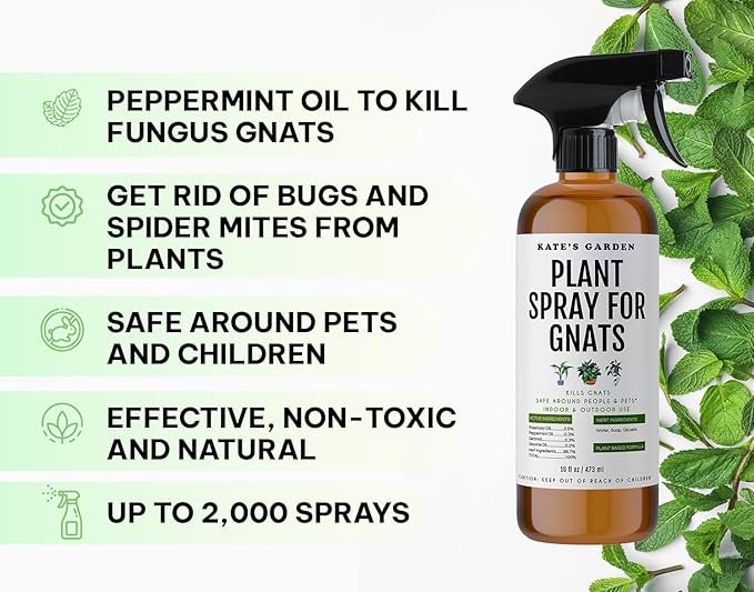 Kate's Garden Plant Spray for Insects & Getting Rid of Gnats. Fungus Gnat Killer & Bug Spray for Indoor Plants (16oz, Pet Safe, Non Toxic)