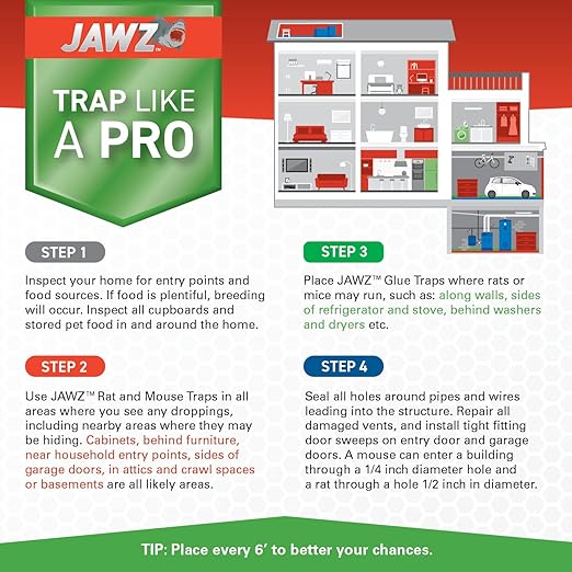 JAWZ Plastic Rat Traps – 12 Pack Bulk Snap Traps for Rats – Durable, Reusable Rodent Control – Easy to Set, Bait & Clean