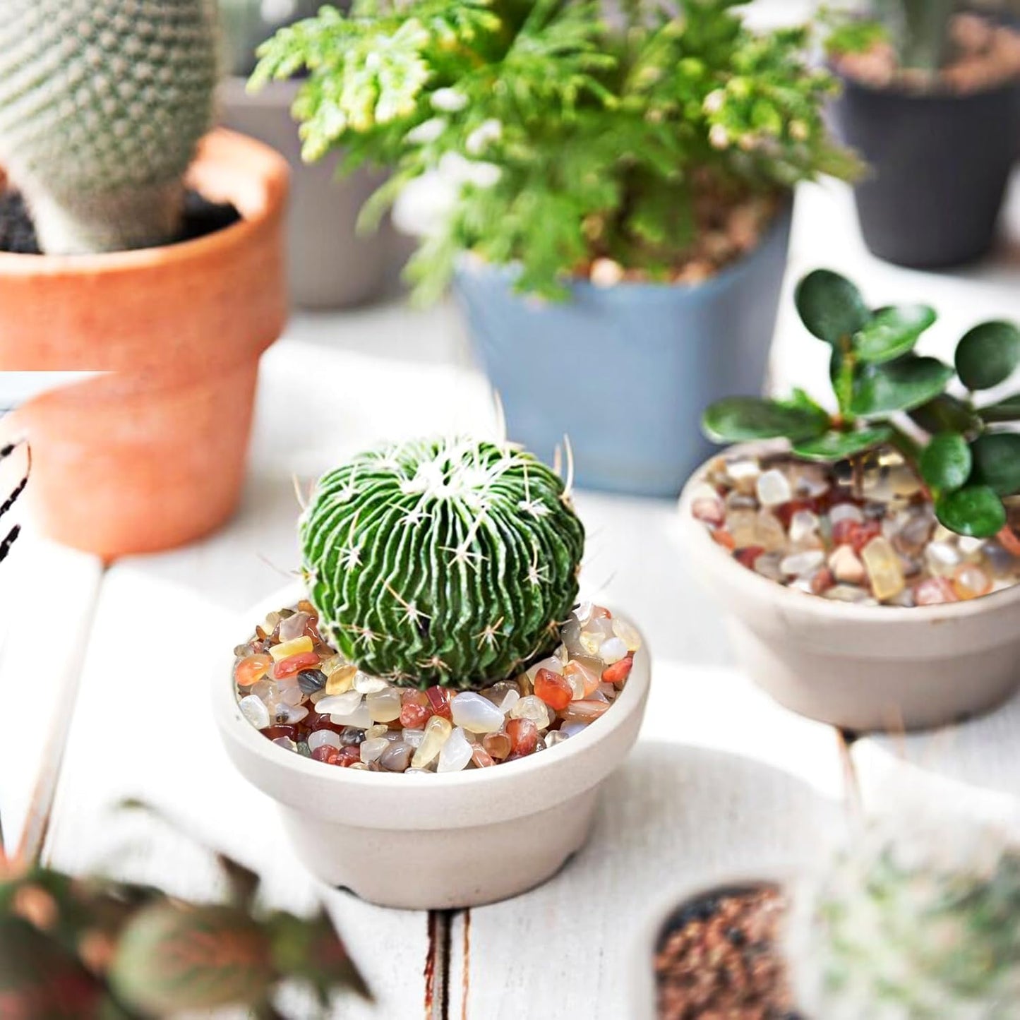 Halatool 2.2LB Crystal Pebbles 0.27"- 0.79" Natural Landscaping Pebbles Aquarium Gravel Decorative Polished Stone Suitable for Plants Home Decoration DIY Handmade Fish Tanks Vase Filler