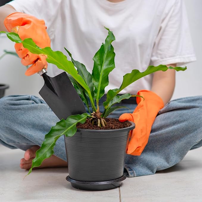 Halatool 200pcs 30mm Organic Coconut Coir Pellets Soil for Seed Starter, Compressed Coco Coir Potting Soil for Growing Vegetables, Fruits, Flowers