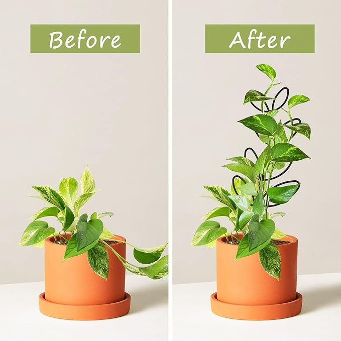 8 Packs Trellis for Potted Plant,Metal Wire Stake for Climbing Plants Indoor Houseplant Lover,Trellis for Garden Potted Plant,Hoya,Pothos,Flower,Monstera (Black)