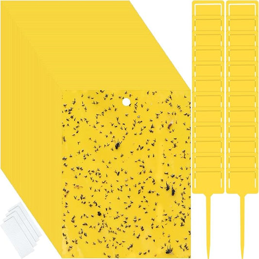 Qualirey 250 Pcs 6 x 8 Inch Sticky Traps for Gnats Dual Sided Fruit Fly Sticky Traps for Indoor and Outdoor Plant with Twist Ties and Plastic Holders for Flying Plant Insect, Fungus Gnats (Yellow)