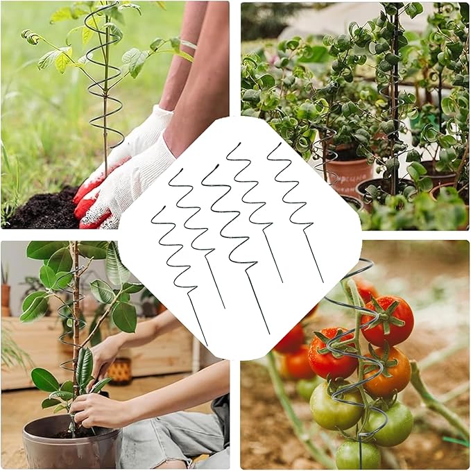 15.75″ Spiral Tomato Plant Stake, Small Spiral Plant Support, Garden Twist Stick for Climbing Plants, Indoor/Outdoor Plant and Rose