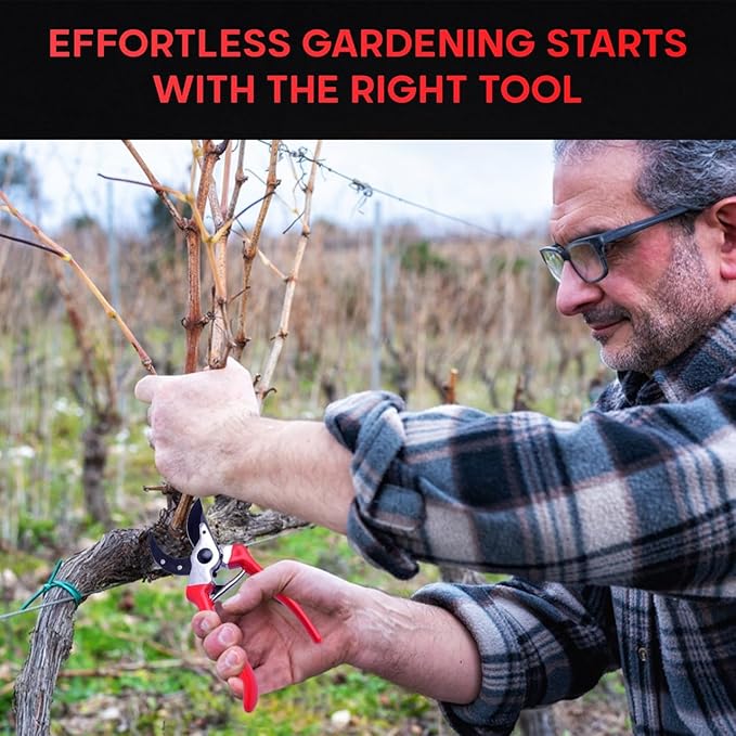 HortiSnip 8-Inch Bypass Pruning Shears, Professional Garden Shears with Sharp Steel Blade, Heavy Duty Pruners for Gardening, Plant Trimming, Cutting Stems & Branches