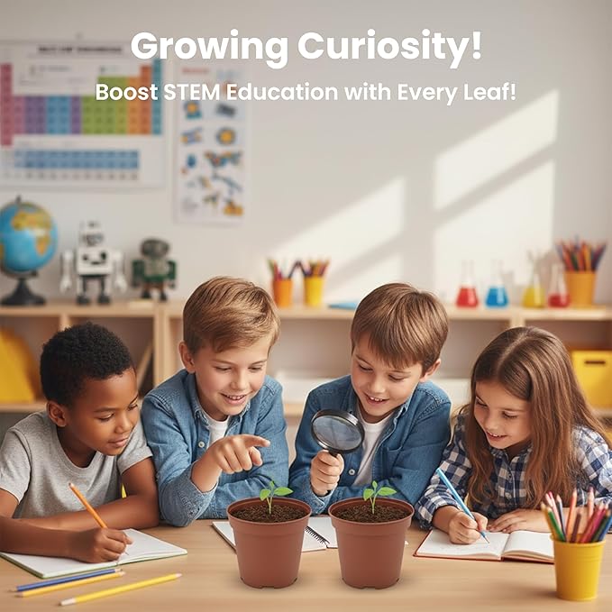 TickleMe Plant Birthday Party Favors (Pack of 2) | Leaves Fold When You Tickle It, Reopen in Minutes | Kids Plant Growing Kit with Indoor Plants Seeds, Live Plants, Grow Kit, Gardening for Kids