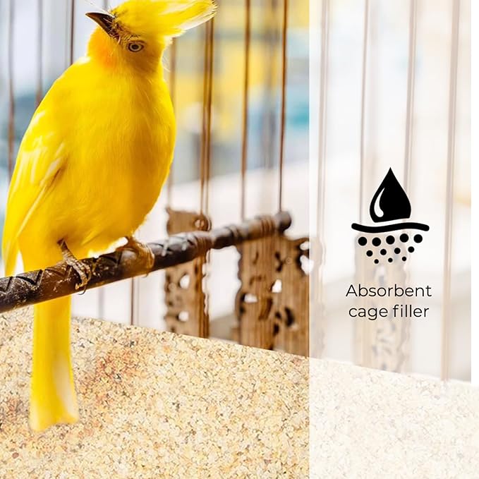 Fine Silica Sand - 10LB - Sand for Plants - Horticultural Sand - Potting Sand Bonsai Cactus & Garden Sand Grit - Terrarium and Plant Sand Soil - Gardening Landscape Sharp Rocks and Grit Fireproof