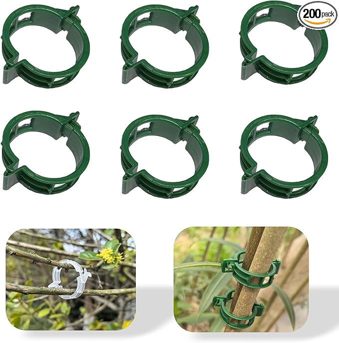 Safety Plastic fixed Clamp, Reusable Garden Support Clips for Climbing Plants, Plastic Trellis Clips for Fixing Tomato, Grape Vine, and Vegetable Plants (200, GREEN)