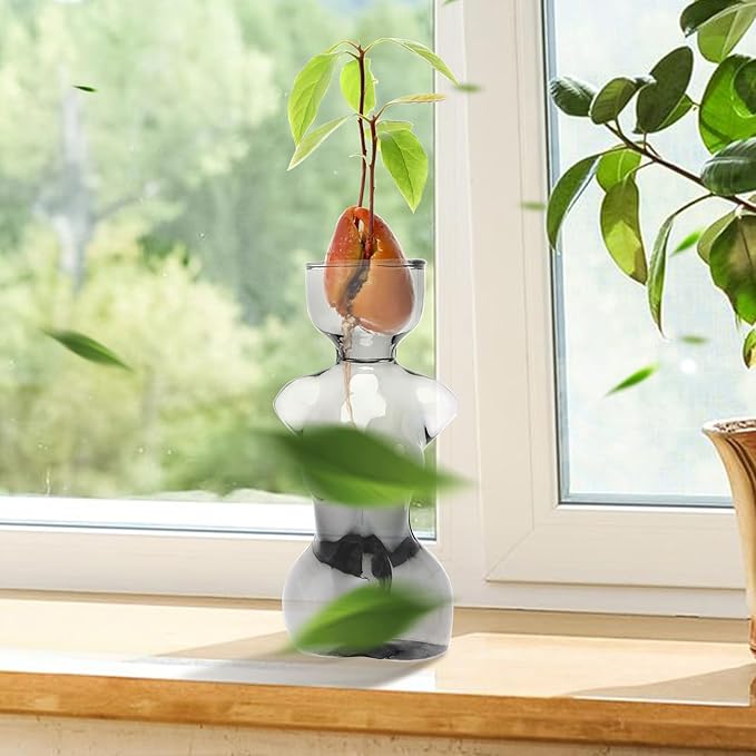 Propagation Vases for Plants Plant Propagation Jars Unique Body Avocado Vase Glass Planter Perfect for Seed Starting Water Rooting and Home Decor Gift for Father