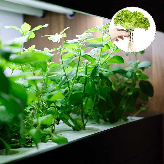 80 Pack Grow Sponges, Seed Pods Replacement Root Growth Sponges Compatible with AeroGarden, Moldy-Free, Kit with 10 Pod Labels for Hydroponic Indoor Garden System