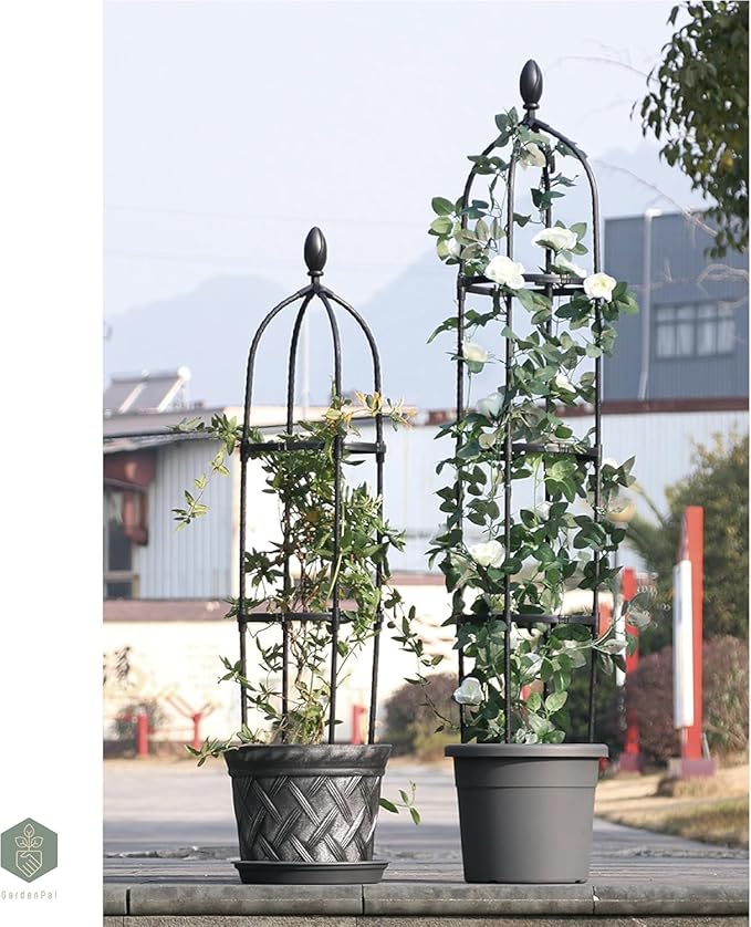 GardenPal Rustproof Metal Pipe Garden Obelisk Trellis, Tomato Cage and Plant Support for Climbing Plants, Potted Tall Plant Stakes for Vine Vegetable Flower Support Outdoor Indoor - 1 Pack