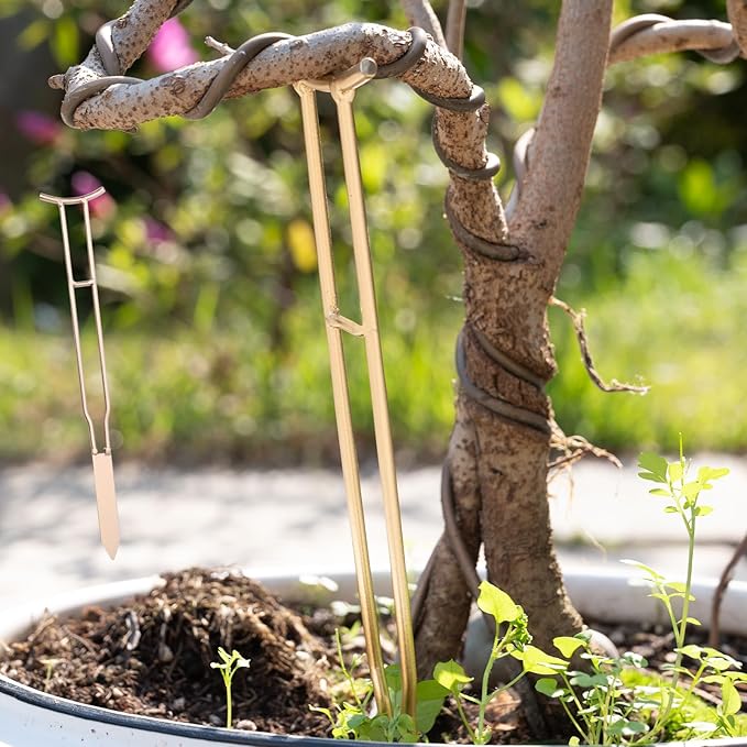 3PCS Plant Support Stakes – Durable Gold Metal Supports for Monstera, Philodendron & More - Ideal Trellis Structures for Indoor & Outdoor Gardening - Perfect for Small to Tall Plants